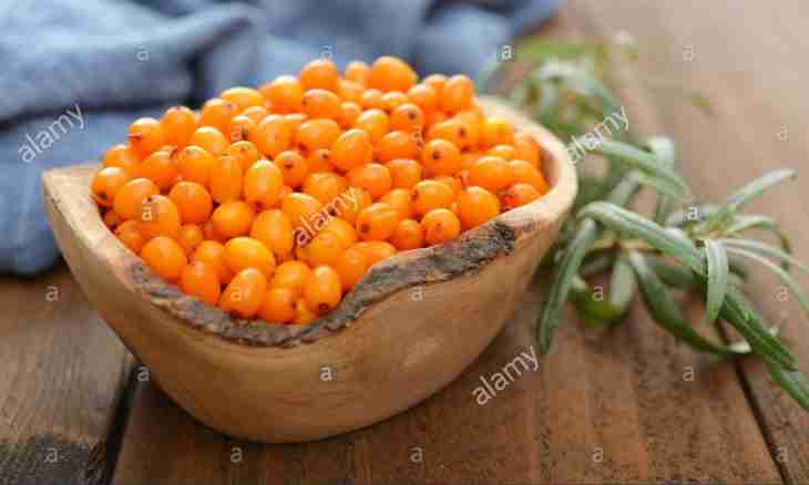 What can be made with a sea-buckthorn