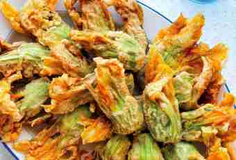 How to prepare fried squash tasty
