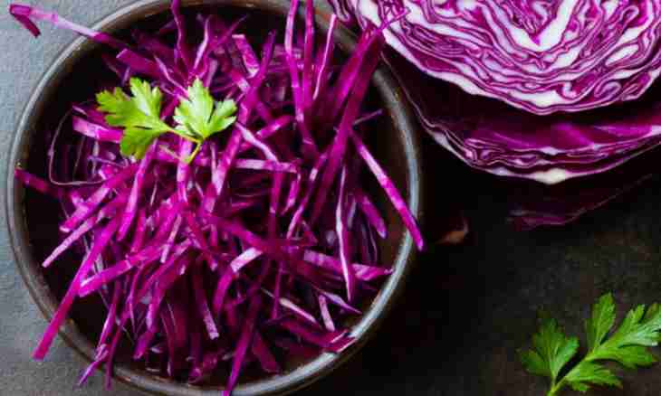How to prepare red cabbage