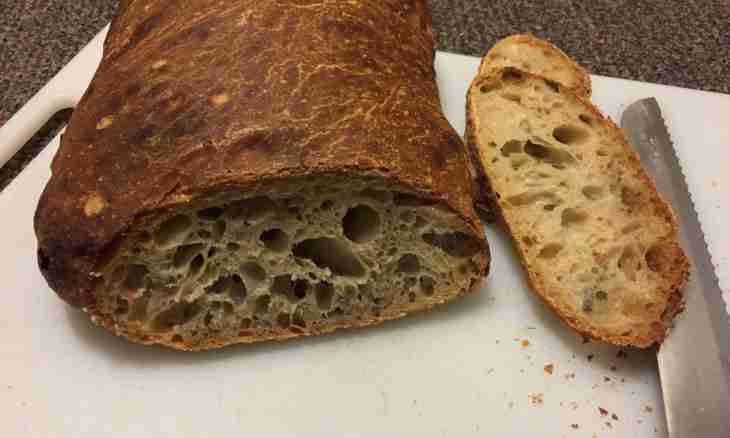 How to bake ciabatta in house conditions