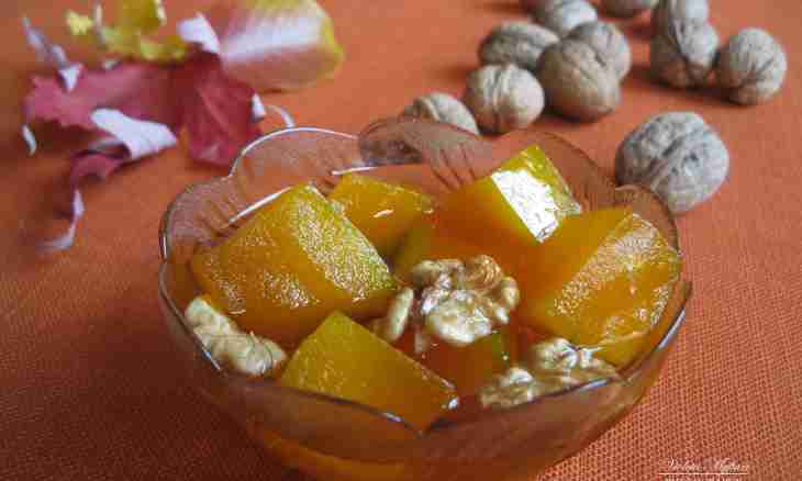 How to prepare candied fruits from squash in the dryer for the winter