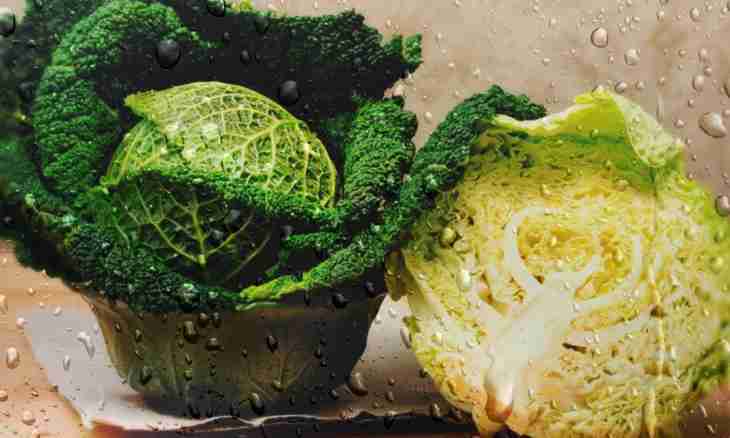 How to prepare a Savoy cabbage? Simple recipe