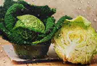 How to prepare a Savoy cabbage? Simple recipe
