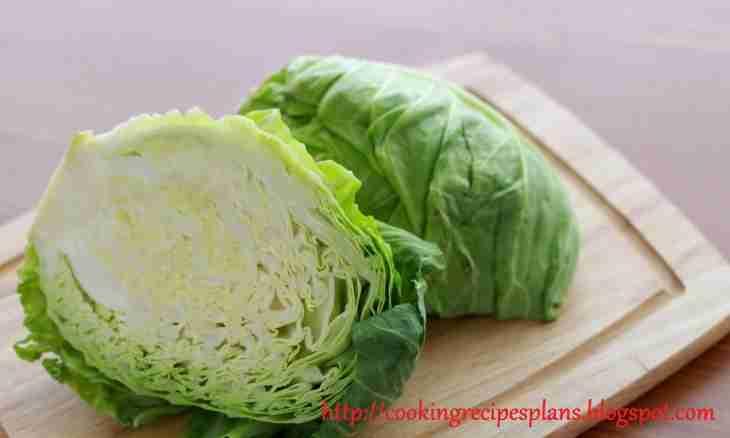 What can be prepared from fresh cabbage on the second