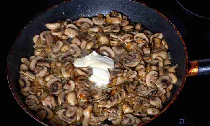 How to prepare the oyster mushroom mushrooms stewed with sour cream in the microwave