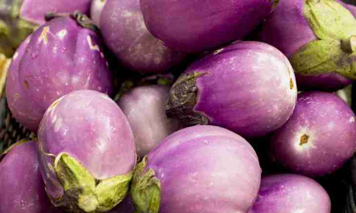 What to prepare from eggplants