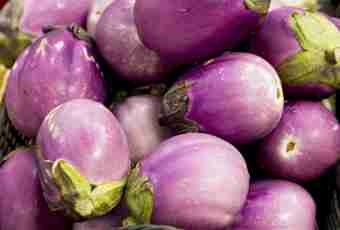 What to prepare from eggplants