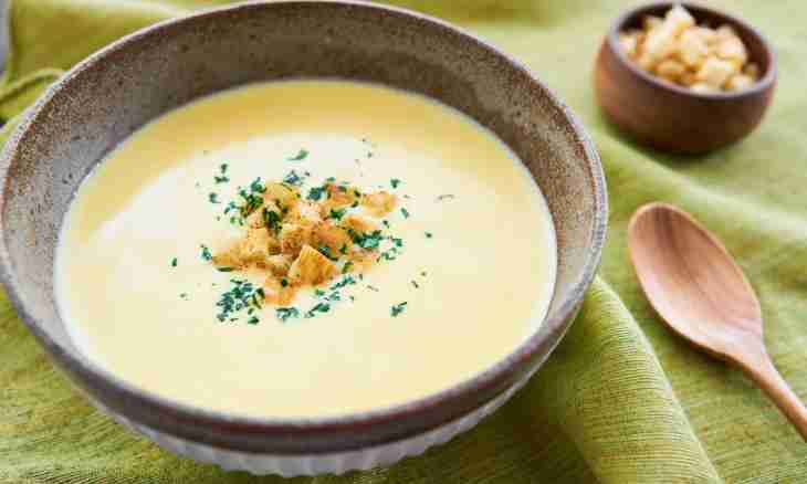 Corn cream soup