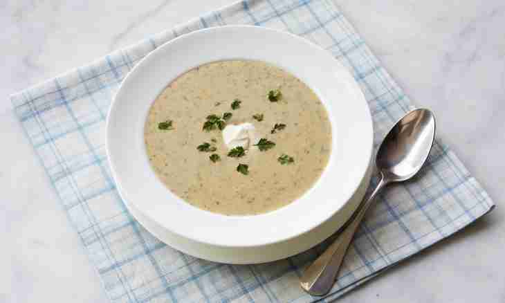 Sorrel soup: two variations