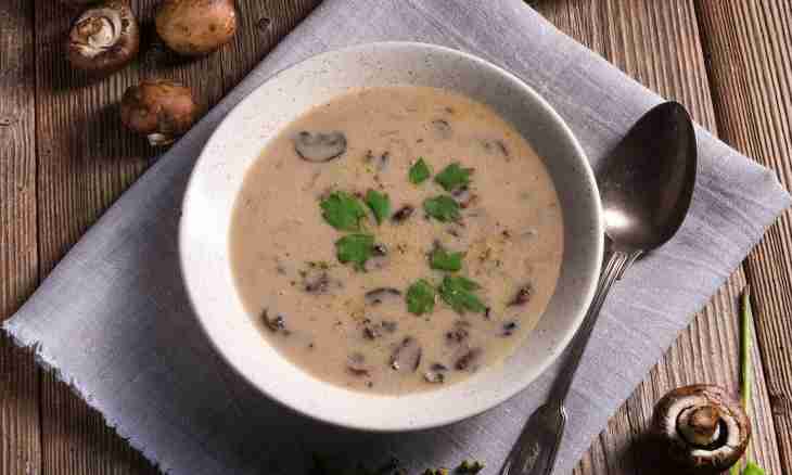 Champignons and sorrel soup