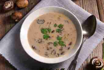 Champignons and sorrel soup