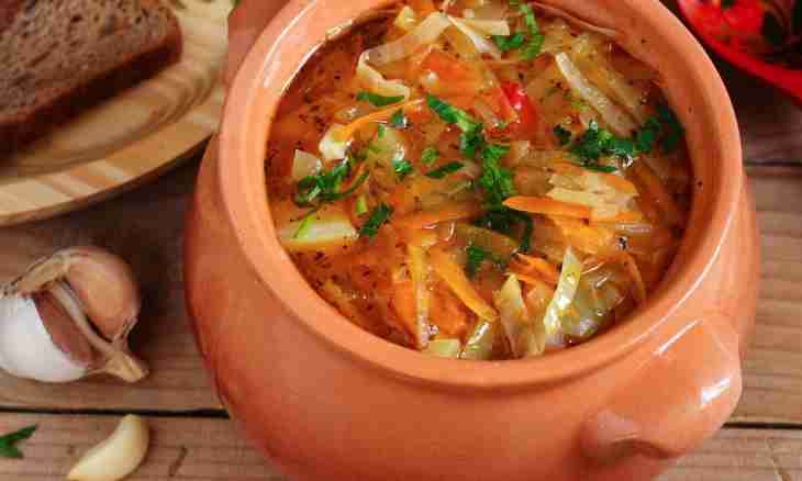 Oxalic Russian cabbage soup