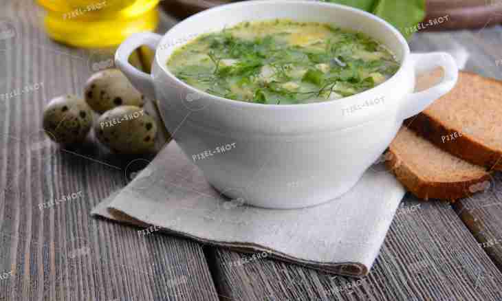 How to cook a tinned sorrel soup?