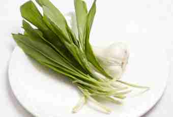 How to make green garlic - a ramson