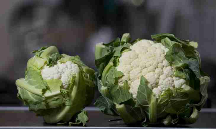 Cauliflower: recipes of preparations for the winter