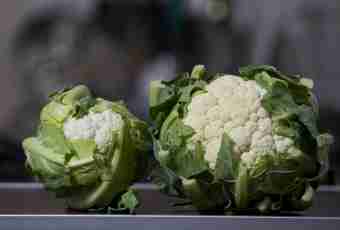 Cauliflower: recipes of preparations for the winter