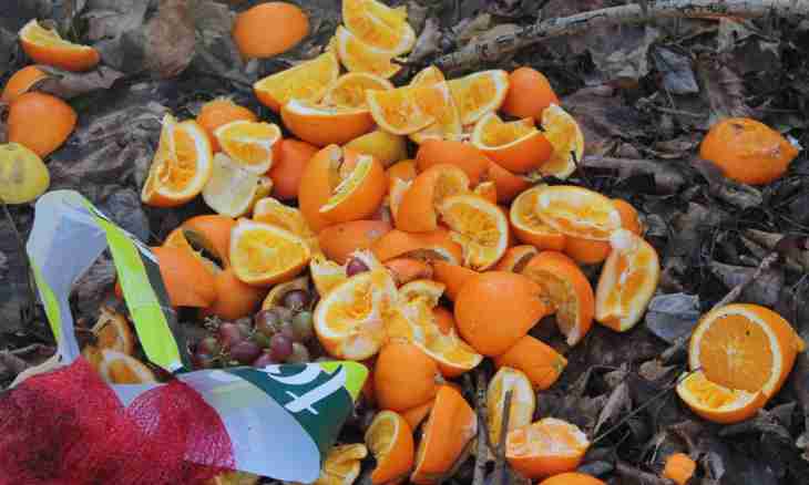 How to prepare candied fruits from an orange-peel