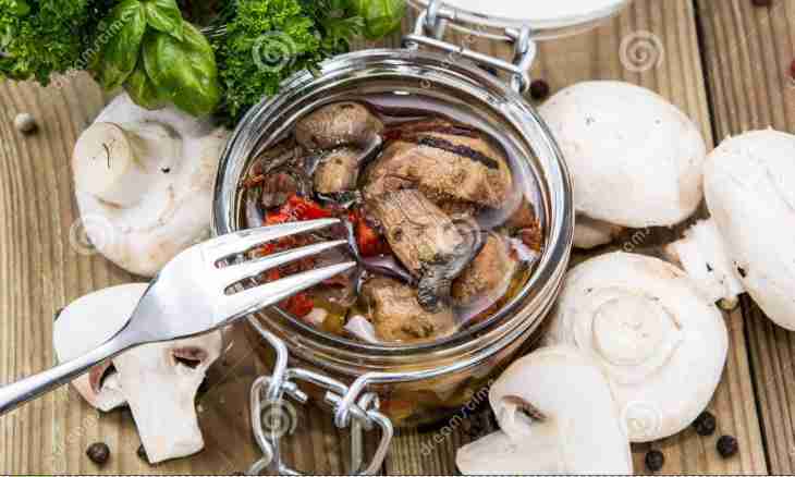 How tasty to salt milk mushrooms