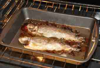 Rules of roasting of fish in an oven