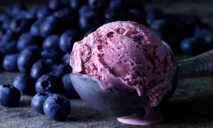 Bilberry ice cream