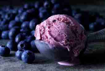 Bilberry ice cream
